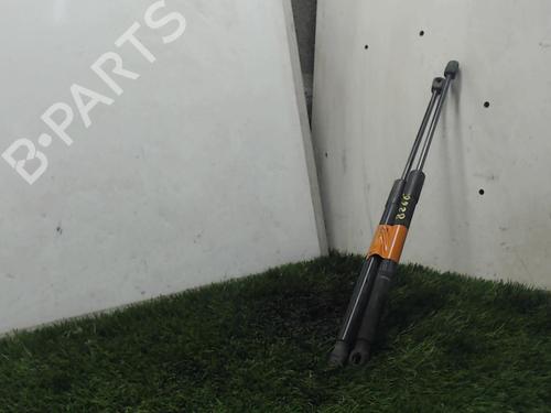 Used Tailgate lift support RENAULT MEGANE III Grandtour (KZ0/1) 1.5 dCi (86 hp) 20887011
