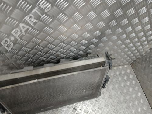 Water radiator RENAULT MEGANE II (BM0/1_, CM0/1_) 1.6 16V (BM0C, CM0C) | BP28317386M31 