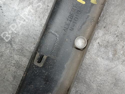 Door moulding trim CITROËN BERLINGO / BERLINGO FIRST Box Body/MPV (M_) 1.9 D 70 (MBWJZ, MCWJZ) | BP29635264C150 
