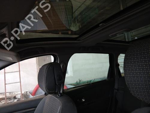 Sunroof RENAULT GRAND SCÉNIC III (JZ0/1_) 1.9 dCi (JZ0J, JZ0N, JZ1K, JZ1S) | BP30144752C124
