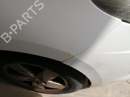 Right front fenders RENAULT SCÉNIC III (JZ0/1_) 1.9 dCi (JZ0J, JZ1J, JZ1K, JZ1S) | BP25741159C42 