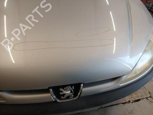 Capot PEUGEOT 206 Hatchback (2A/C) 1.9 D | BP30325726C1 