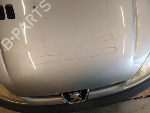 Capot PEUGEOT 206 Hatchback (2A/C) 1.9 D | BP30325726C1 