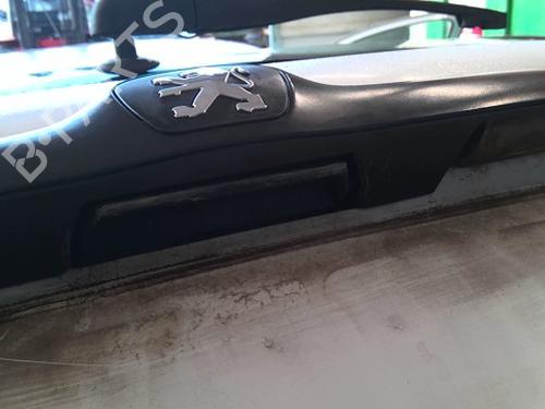 Used Switch Switch PEUGEOT 206 Hatchback (2A/C) 1.9 D (69 hp) 40203685 40203685