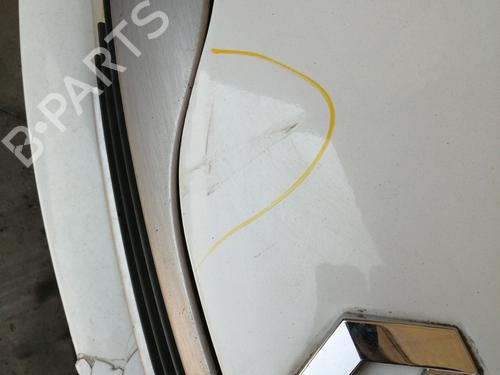 Used Hood RENAULT LAGUNA II (BG0/1_) 1.9 dCi (107 hp) 26687185