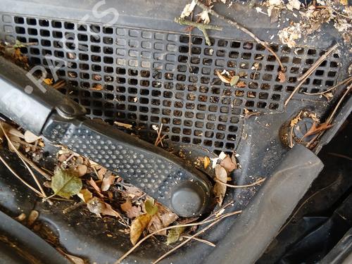 Front wiper motor RENAULT GRAND SCÉNIC III (JZ0/1_) 1.9 dCi (JZ0J, JZ0N, JZ1K, JZ1S) | BP30144738M29 