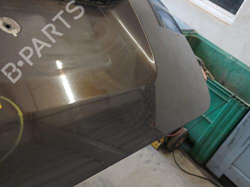 Tailgate RENAULT MODUS / GRAND MODUS (F/JP0_) 1.5 dCi (FP0D, JP0D) | BP31330000C6 