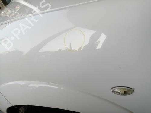 Left front fenders CITROËN C3 I (FC_, FN_) 1.4 HDi | BP26584593C41 