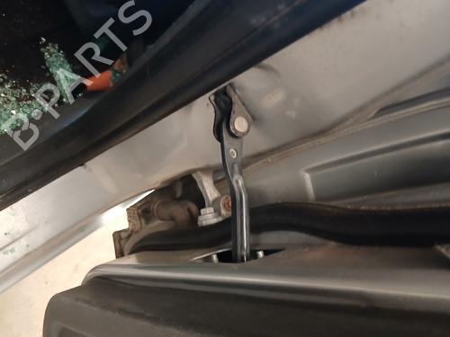 Hinge/Door check strap FORD C-MAX (DM2) 1.6 TDCi | BP36140923C146 - Image 2