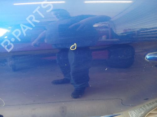 Left rear door FIAT BRAVO II (198_) 1.9 D Multijet (198AXC1B) | BP28489436C4 