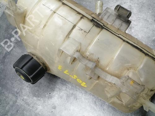 Expansion tank RENAULT KANGOO Express (FW0/1_) 1.5 dCi 85 (FW0K, FW0L, FW0B) | BP24799106C120 