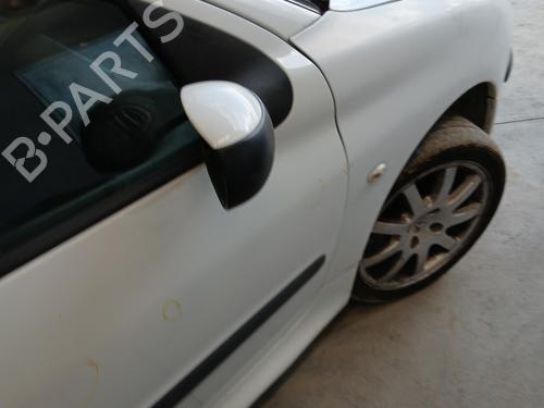 Right front door PEUGEOT 206 Hatchback (2A/C) 1.4 HDi eco 70 | BP31629231C3 