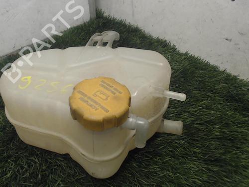 Used Expansion tank OPEL CORSA D (S07) 1.3 CDTI (L08, L68) (75 hp) 20883084