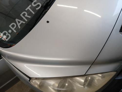 Hood PEUGEOT 308 I (4A_, 4C_) 2.0 HDi | BP29725219C1 