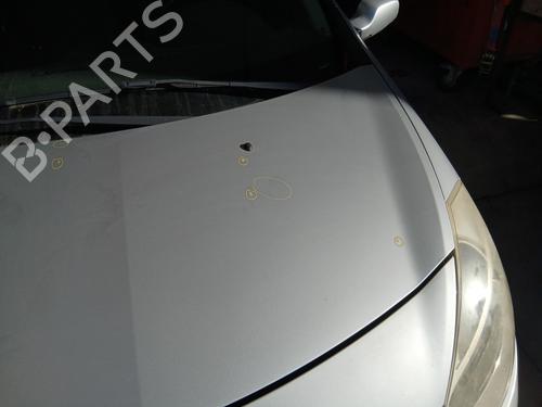 Hood RENAULT CLIO III (BR0/1, CR0/1) 1.4 16V | BP29240814C1 
