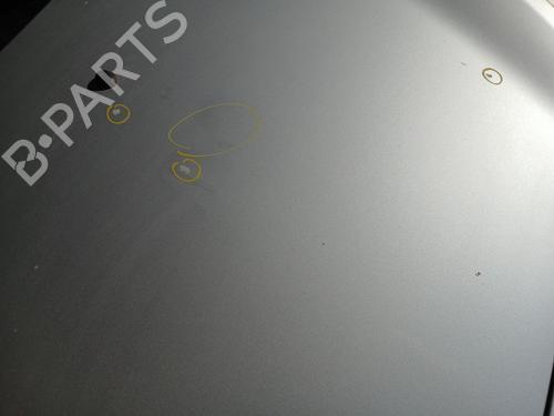 Hood RENAULT CLIO III (BR0/1, CR0/1) 1.4 16V | BP29240814C1 