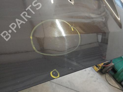 Tailgate RENAULT MODUS / GRAND MODUS (F/JP0_) 1.5 dCi (FP0D, JP0D) | BP31330000C6 