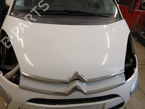 BP31584177C1 main image