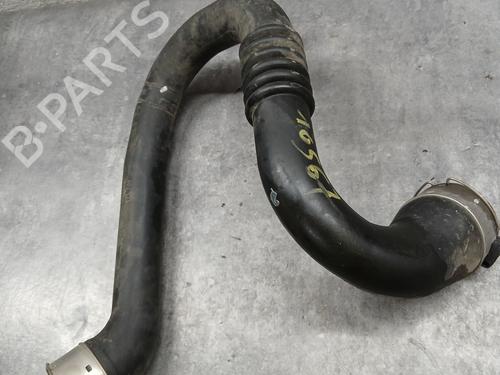 Pipe RENAULT SCÉNIC III (JZ0/1_) 1.2 TCe | BP29560766M125 