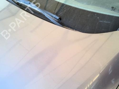 hood-renault-megane-iii-hatchback-bz01_-b3_-2008-38737797 main image
