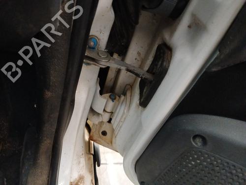 Hinge/Door check strap FIAT STRADA Pickup (178_, 278_) 1.3 D Multijet (278AYR1A) | BP29712013C146 