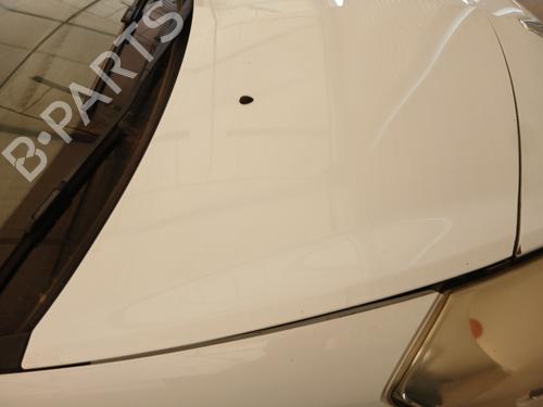 Hood RENAULT CLIO III (BR0/1, CR0/1) 1.5 dCi (C/BR0G, C/BR1G) | BP28669260C1