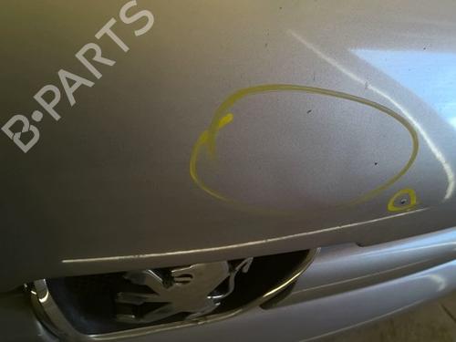 hood-peugeot-206-sw-2ek-2002-40451131 main image