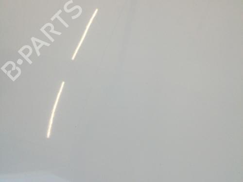 Used Hood Hood RENAULT MEGANE III Hatchback (BZ0/1_, B3_) 1.5 dCi (106 hp) 27249047 27249047