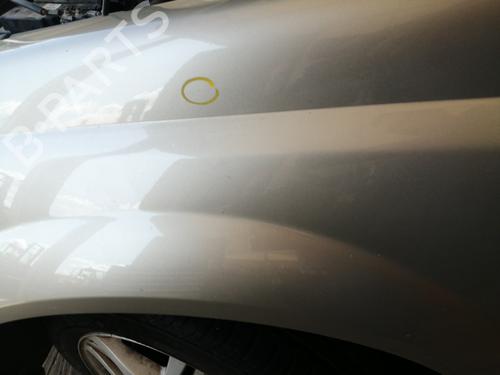 Used Left front fenders RENAULT MEGANE II Coupé-Cabriolet (EM0/1_) 1.9 dCi (120 hp) 27679824