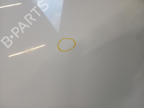 Hood PEUGEOT PARTNER Box Body/MPV 1.6 HDi | BP30156581C1