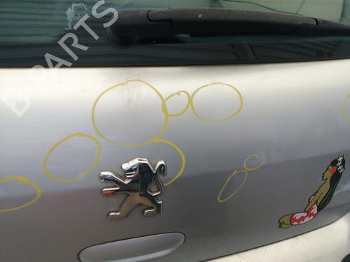 Tailgate PEUGEOT 307 (3A/C) 2.0 HDi 110 | BP26905977C6 