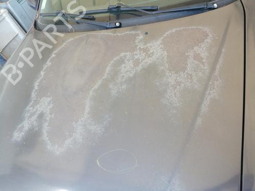 Hood PEUGEOT 306 Hatchback (7A, 7C, N3, N5) 1.9 DT | BP27732195C1 
