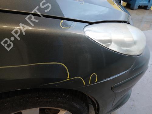 Right front fenders PEUGEOT 307 CC (3B) 2.0 HDi 135 | BP29844865C42