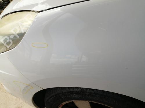 Left front fenders RENAULT SCÉNIC III (JZ0/1_) 1.9 dCi (JZ0J, JZ1J, JZ1K, JZ1S) | BP25741160C41 