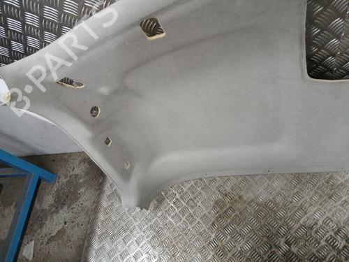 Techo interior RENAULT MASTER III Van (FV) 2.3 dCi 145 FWD (FV0E, FV0F, FV0H, FV02, FV0M, FV0S,... | BP31264449I12 
