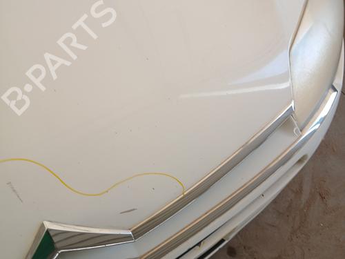 Hood CITROËN C5 III (RD_) 1.6 HDi 110 (RD9HZC) | BP29528728C1 