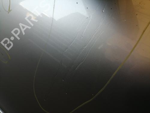 Left front door MERCEDES-BENZ C-CLASS (W203) C 220 CDI (203.006) | BP27677450C2 