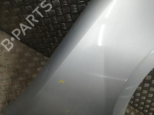 Right front fenders RENAULT CLIO III (BR0/1, CR0/1) 1.5 dCi (BR17, CR17) | BP24663812C42 