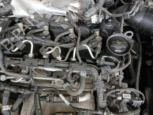 Engine SEAT IBIZA V (KJ1, KJG) 1.6 TDI | BP32164077M1  - Image 5