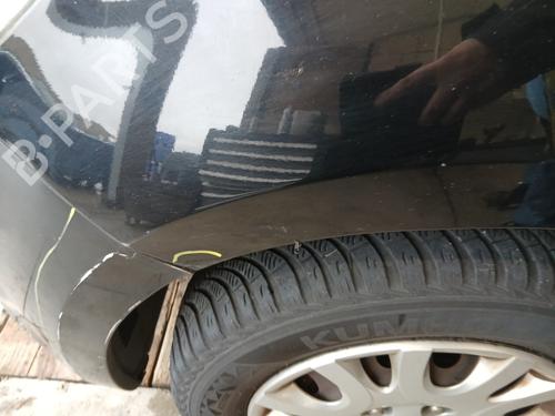 Left front fenders HYUNDAI i20 I (PB, PBT) 1.4 CRDi | BP29760201C41 