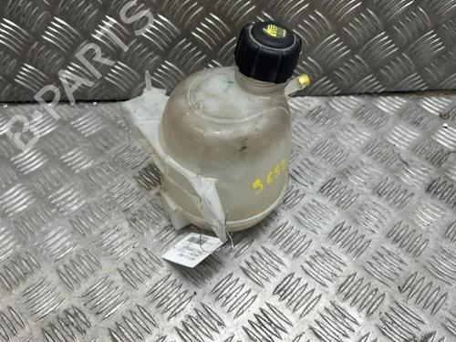 Used Expansion tank DACIA SANDERO 1.5 dCi (68 hp) 20880661