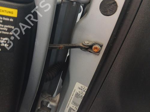 hingedoor-check-strap-citroen-c4-ii-nc_-2009-33019411 main image