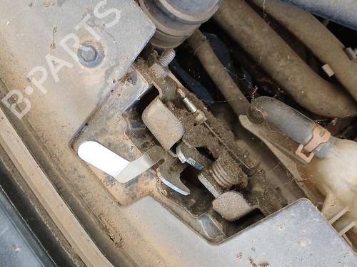 Hood lock RENAULT CLIO III (BR0/1, CR0/1) 1.5 dCi (BR17, CR17) | BP29307317C133 