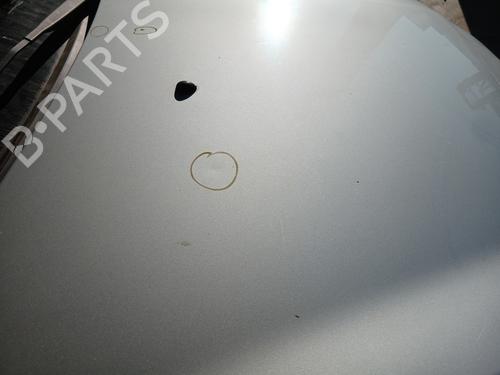 Used Hood RENAULT CLIO III (BR0/1, CR0/1) 1.4 16V (98 hp) 29240814