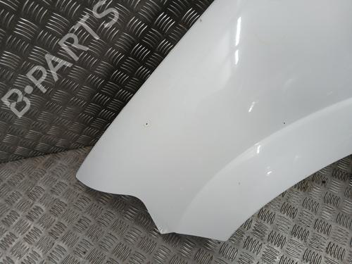 Left front fenders CITROËN C3 I (FC_, FN_) 1.4 HDi | BP28168171C41 