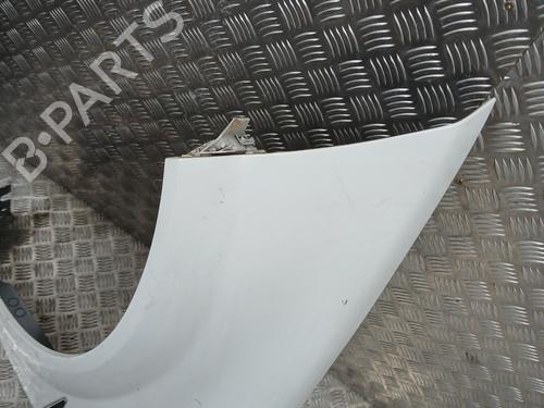 Left front fenders RENAULT MEGANE II (BM0/1_, CM0/1_) 1.6 16V (BM0C, CM0C) | BP28126734C41 