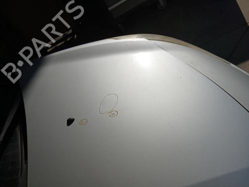 Hood RENAULT CLIO III (BR0/1, CR0/1) 1.4 16V | BP29240814C1 