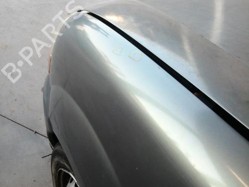 Left front fenders RENAULT KANGOO (KC0/1_) 1.6 16V | BP28034417C41 