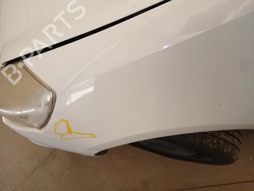 Left front fenders RENAULT CLIO III (BR0/1, CR0/1) 1.5 dCi (C/BR0G, C/BR1G) | BP28669257C41