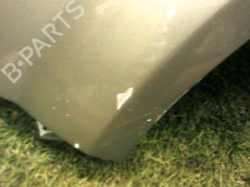 Used Left front fenders RENAULT MEGANE II Coupé-Cabriolet (EM0/1_) 1.9 dCi (131 hp) 20887105